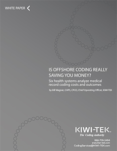 Is Offshore Coding Really Saving you Money? KIWI-TEK white paper cover