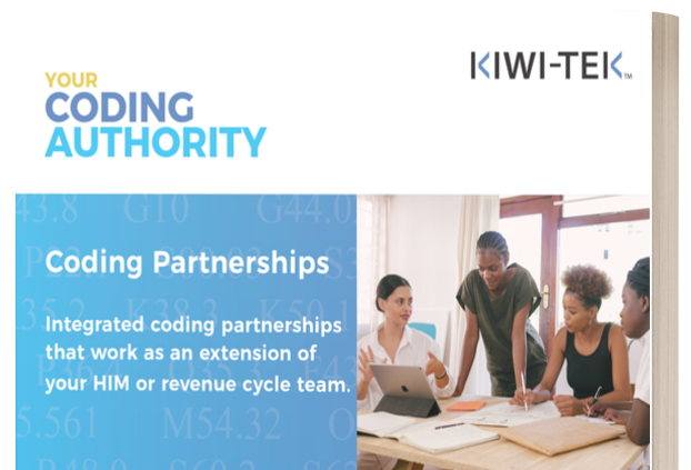 Coding Partnerships eBook cover
